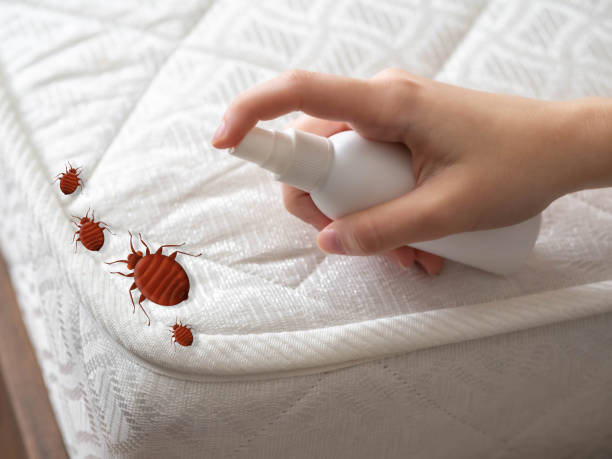 Best Commercial Pest Control  in Inkster, MI